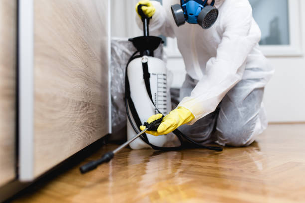 Best Flea Control Services  in Loves Park, IL