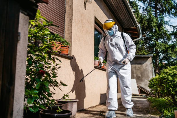 Pest Control Cost in Loves Park, IL
