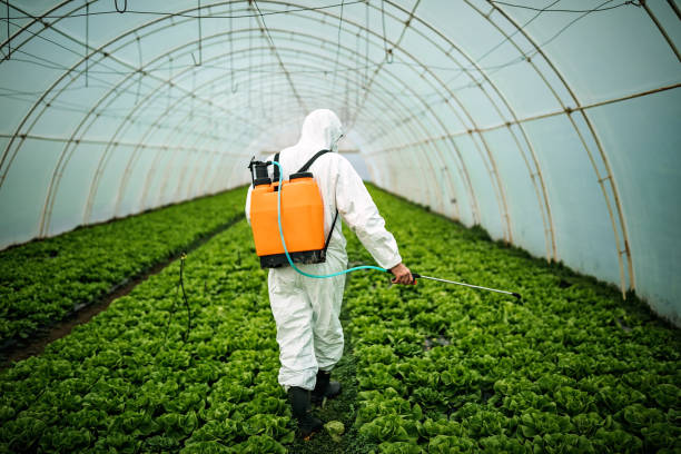 Best Commercial Pest Control Services  in Loves Park, IL