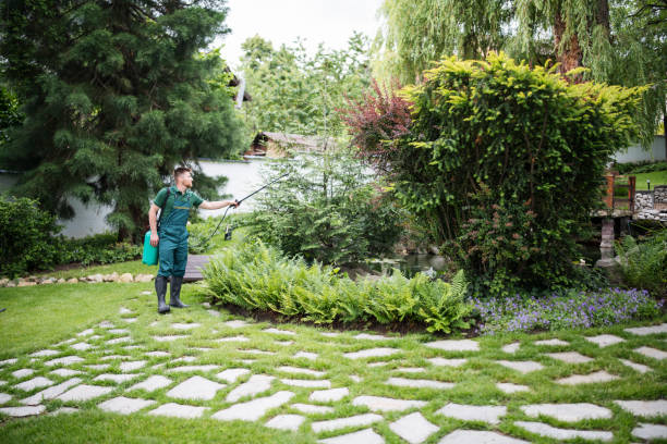 Best Pest Removal Services  in Loves Park, IL