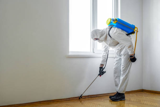 Wasp Removal Services in Loves Park, IL