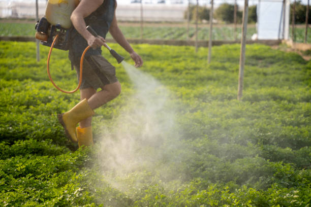 Best Pest Inspection Near Me  in Loves Park, IL