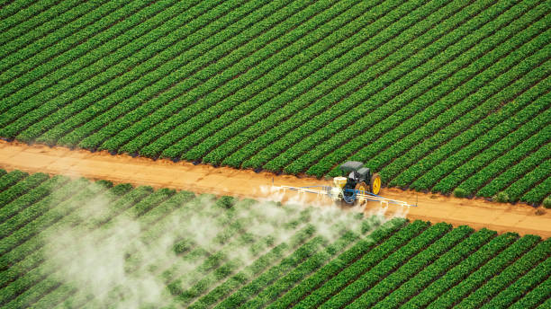 Best Mosquito Control Services  in Loves Park, IL