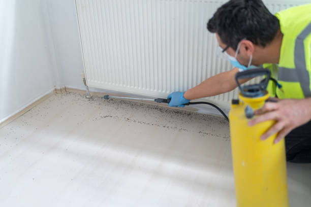 Best Cockroach Control Services  in Loves Park, IL