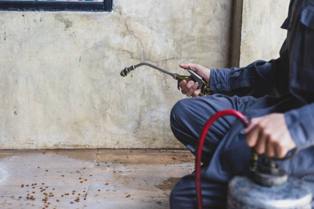 Best Best Pest Control Companies  in Loves Park, IL